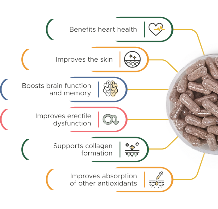 Divine Supplement Benefits