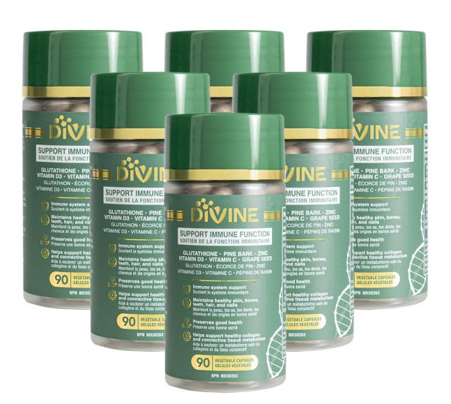 Divine Supplement - six bottles