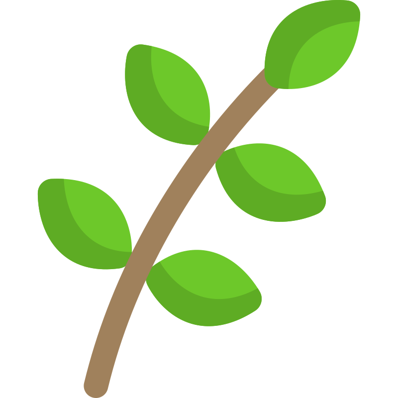 Branch with leaves