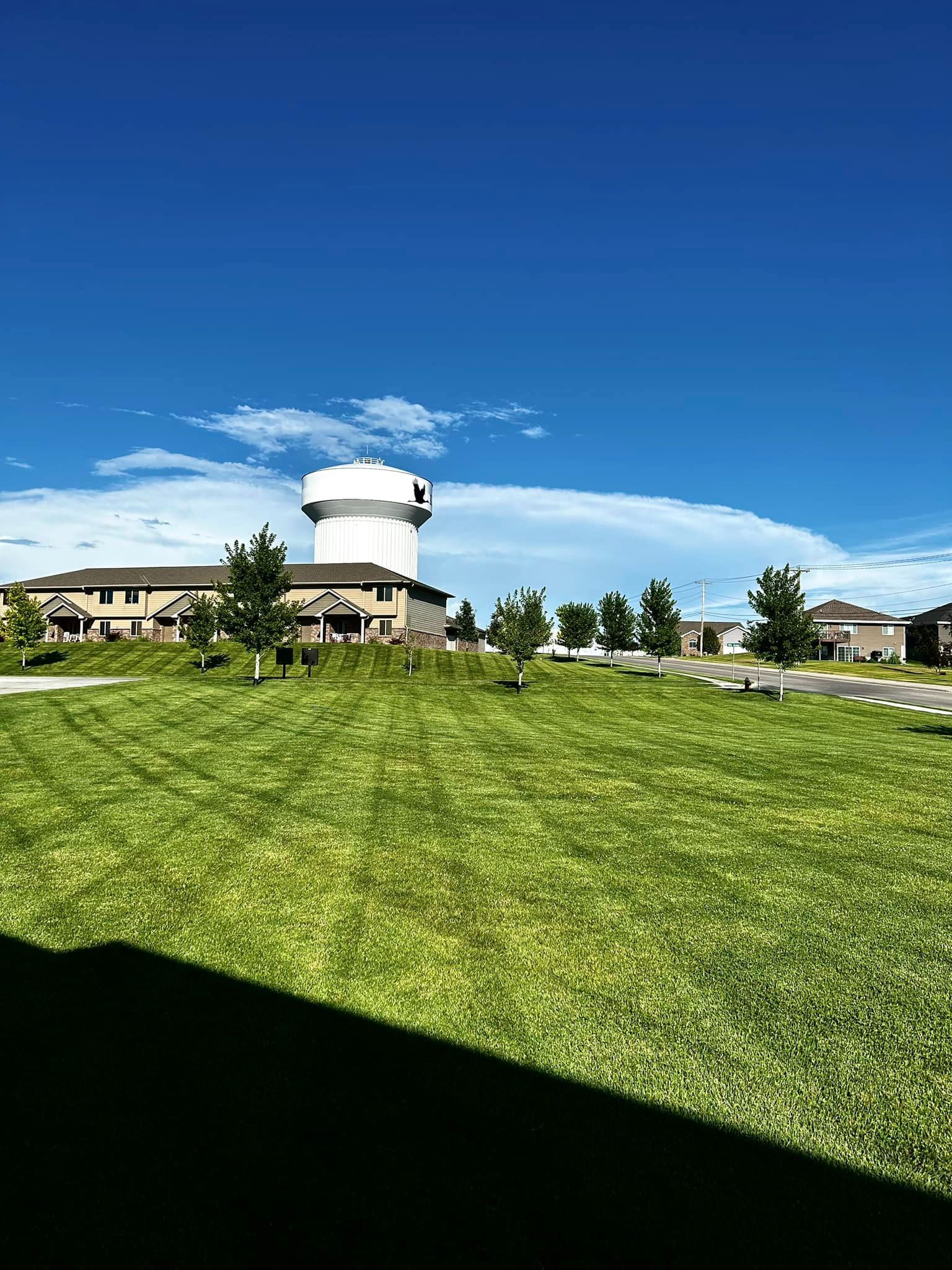 Green lawn, trees, and buildings under a bright blue sky with a water tower.