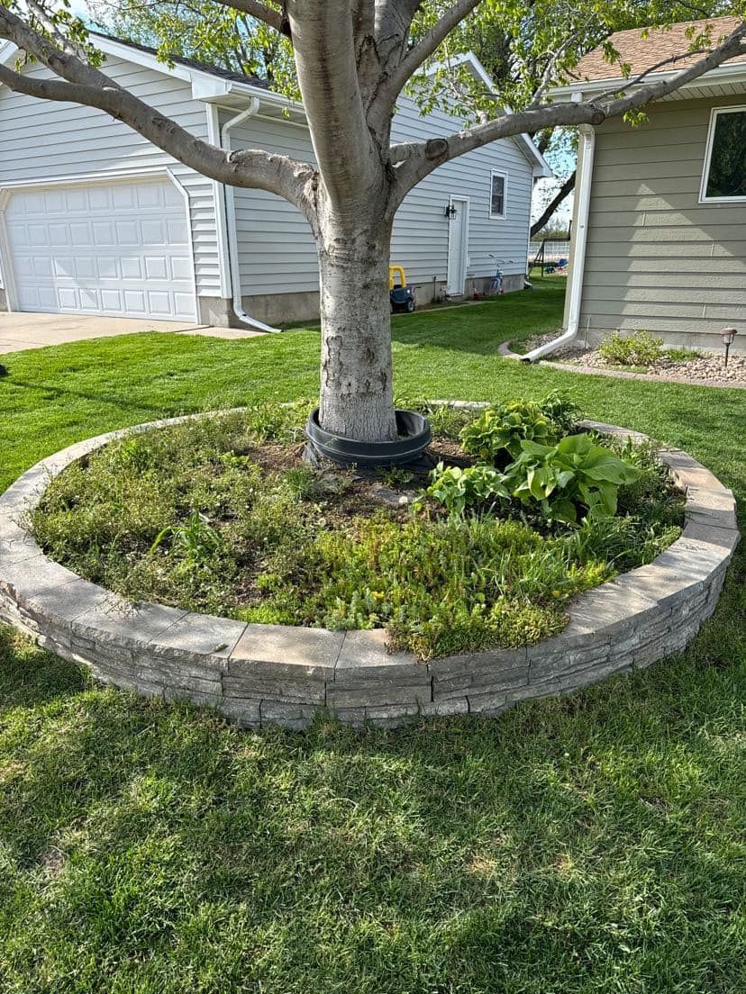 Stone-walled garden bed around a tree in a grassy yard; a house is in the background.
