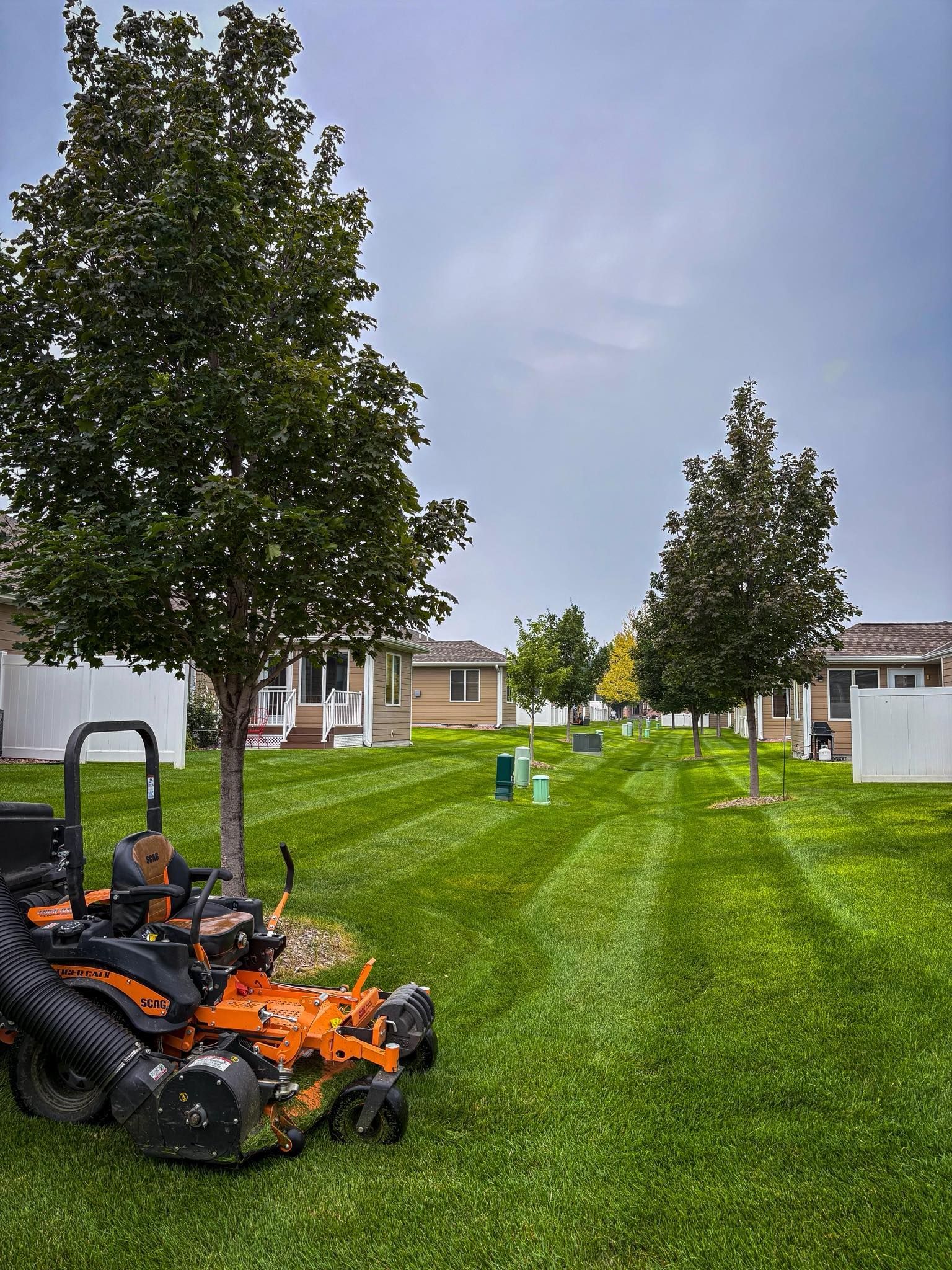 Lawn mower cutting grass in a residential area, trees in a row, cloudy sky.