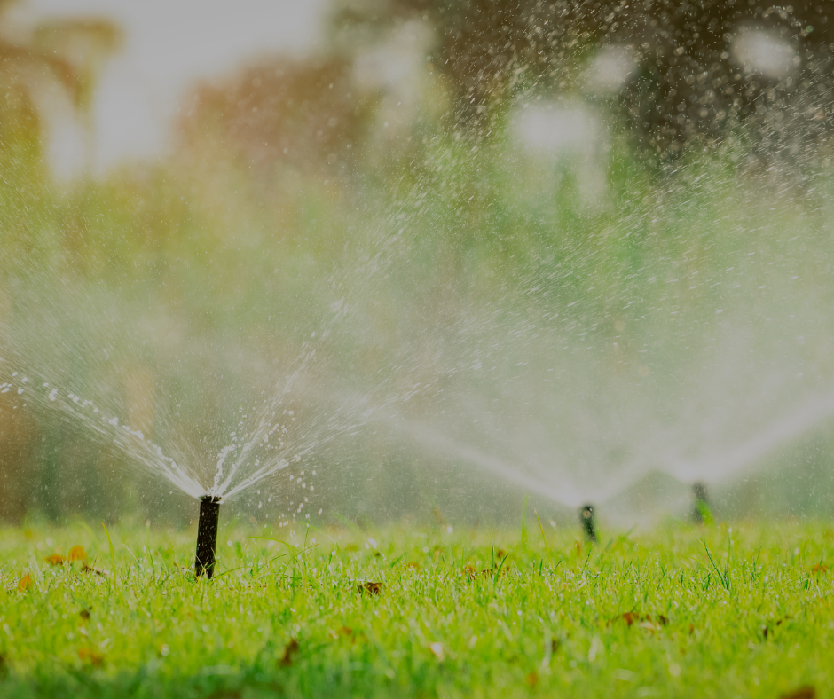 Sprinklers watering green grass on a sunny day.