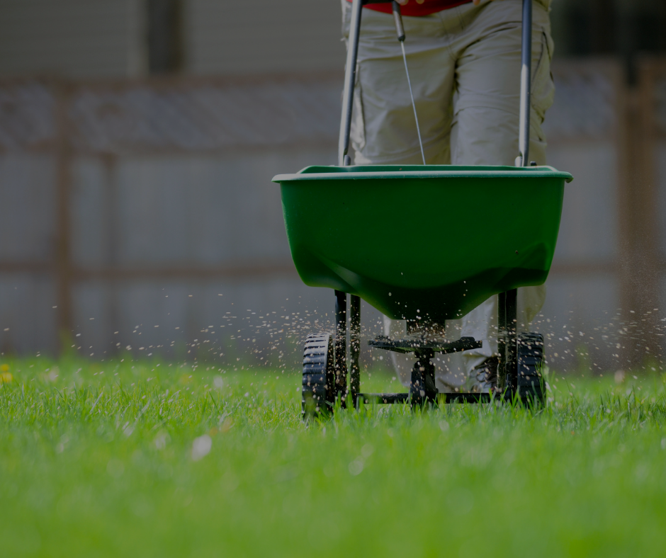 Person fertilizing a green lawn with a green spreader.