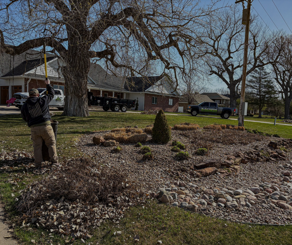 Man pruning a tree with a pole saw. A landscaped yard and houses are in the background.