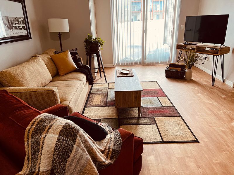 modern living room with rug