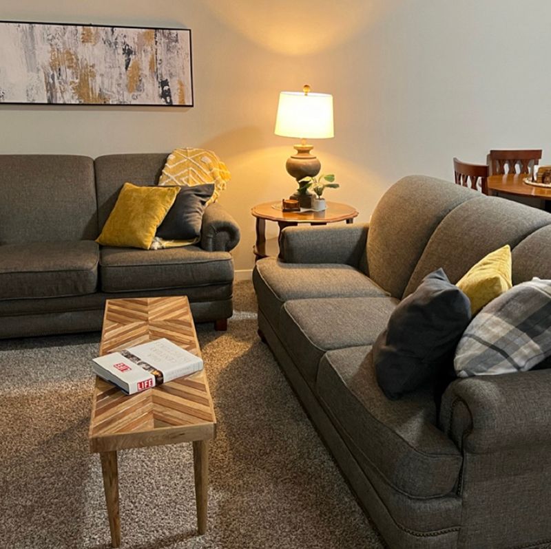 two couches in a living room