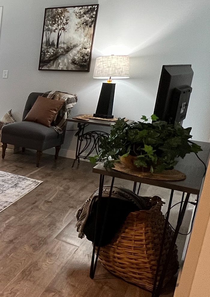 furnished living room