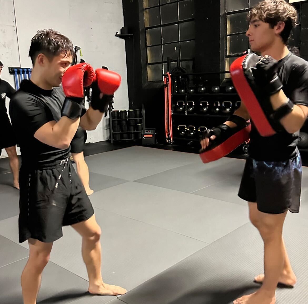 Adults practicing Brazilian Jiu-Jitsu drills at Bodega Jiu-Jitsu in Maplewood, NJ, building fitness.