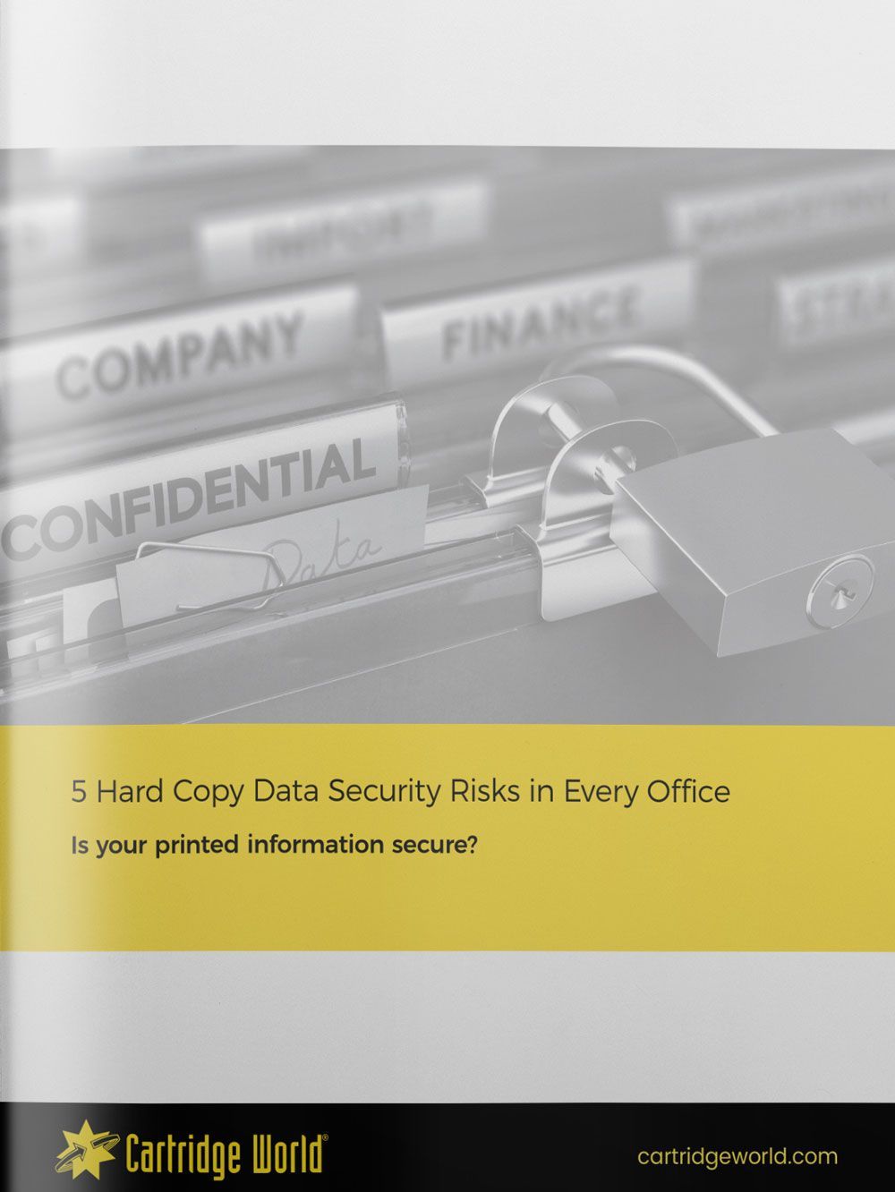 5 Hard Copy Data Security Risks In Every Office - eBook