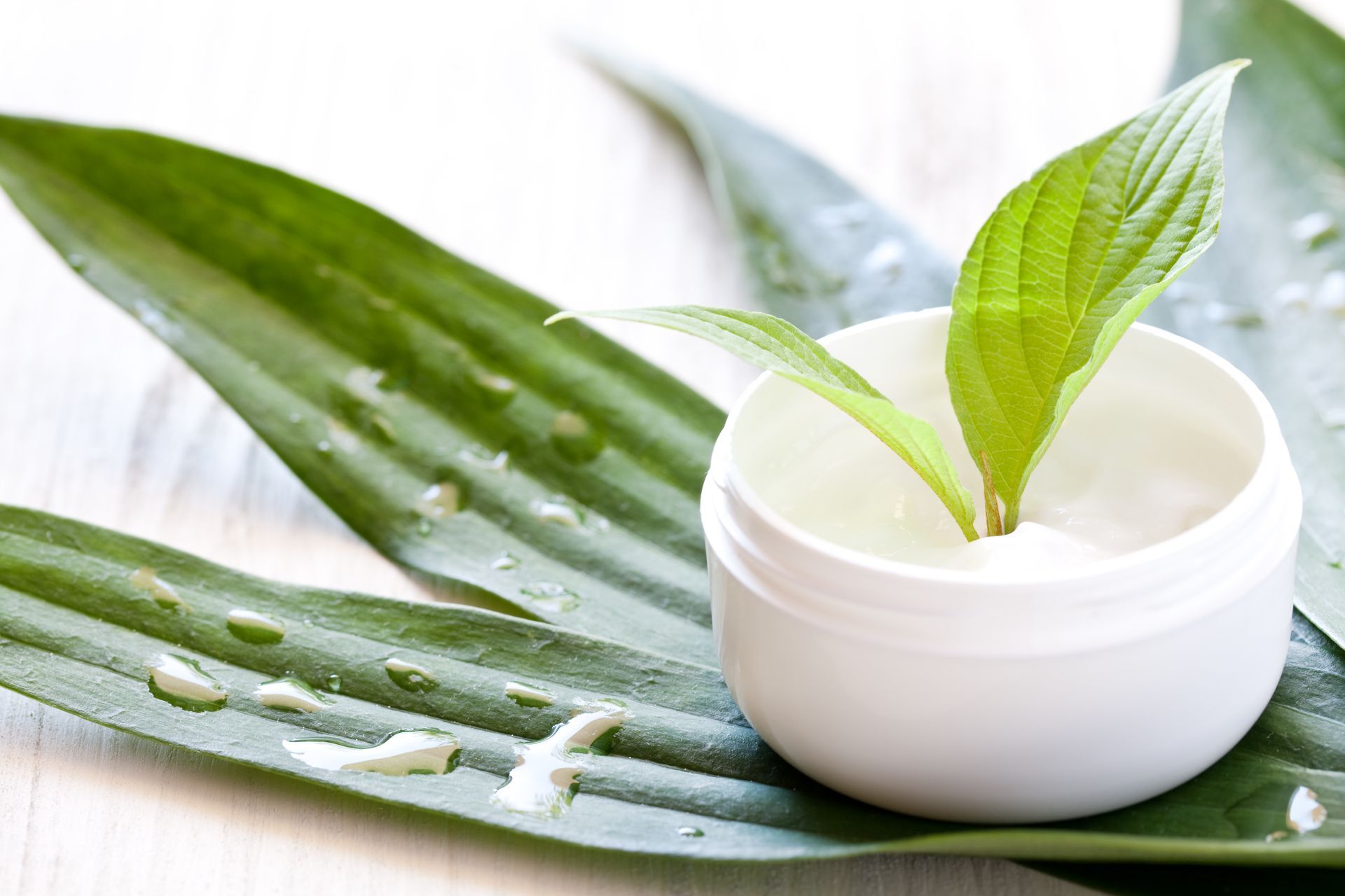 Creme Aloe Vera