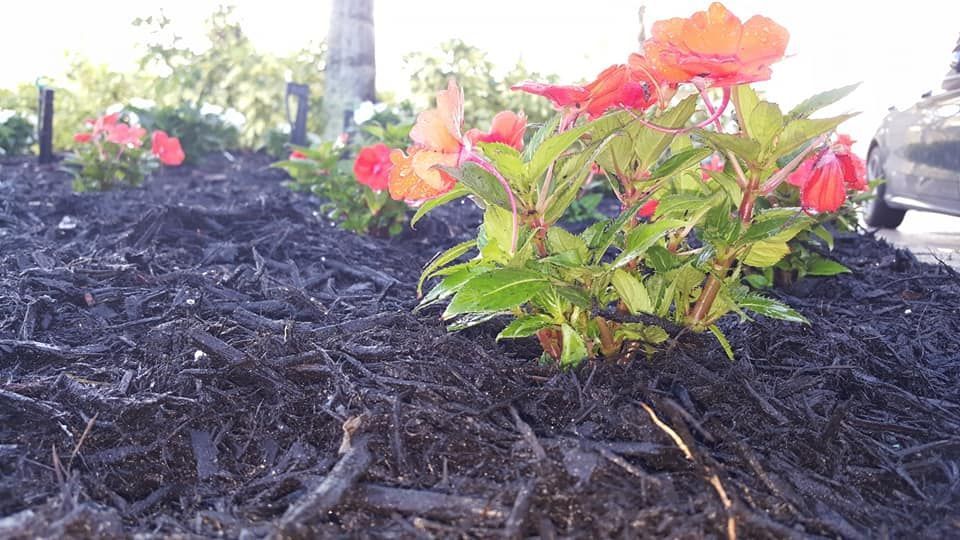 Flower Installation | Winter Haven, FL | Rupertan