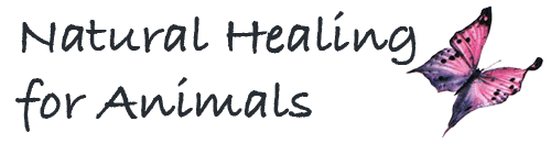 NATURAL HEALTH SOLUTIONS FOR ANIMALS
