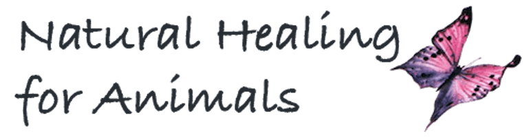 common-health-issues-a-natural-healing-for-animals