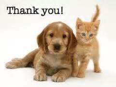 Pets with thank you message — animal care sydney in Castle Hill, NSW