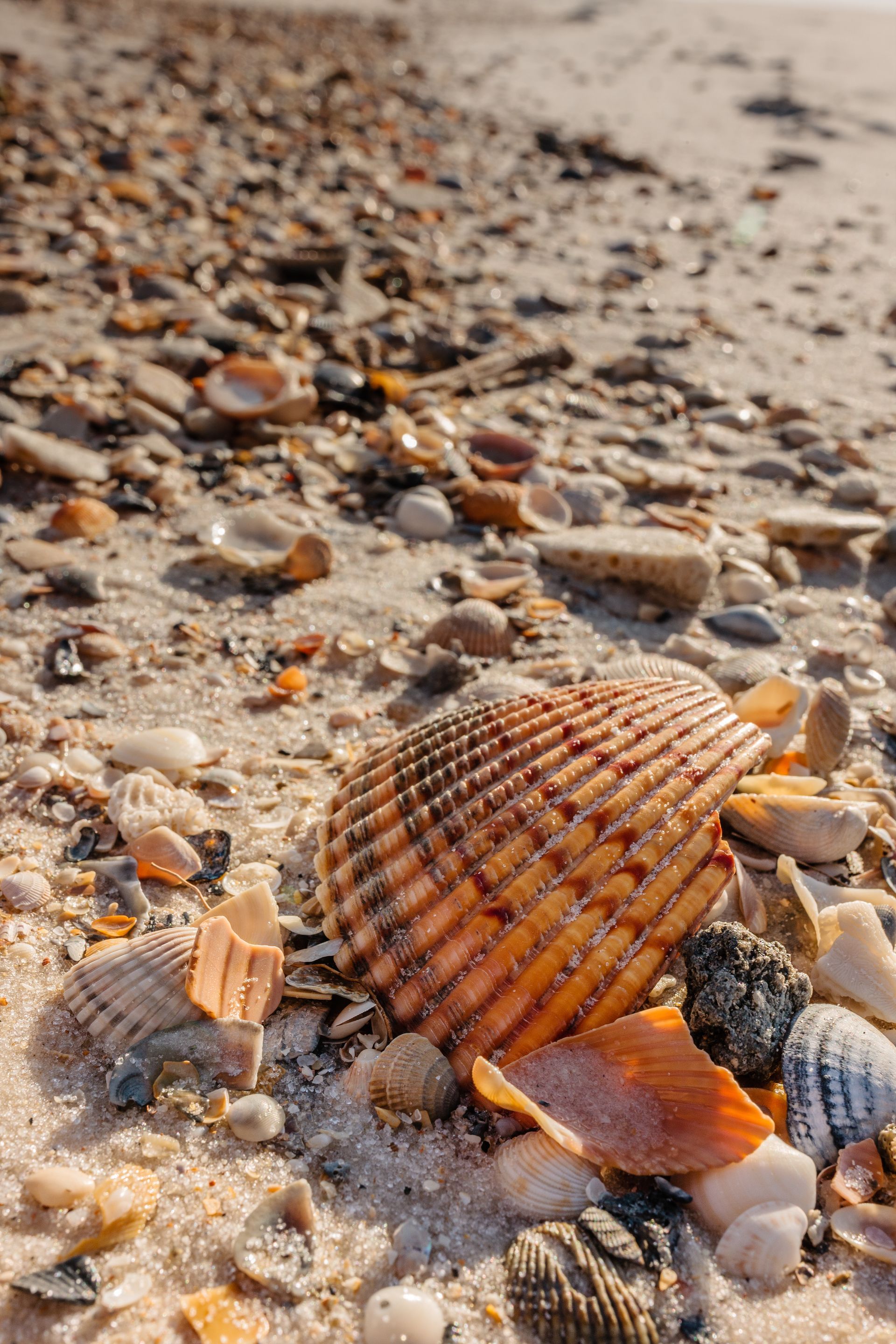 Gulf Shores Beachfront Restaurant