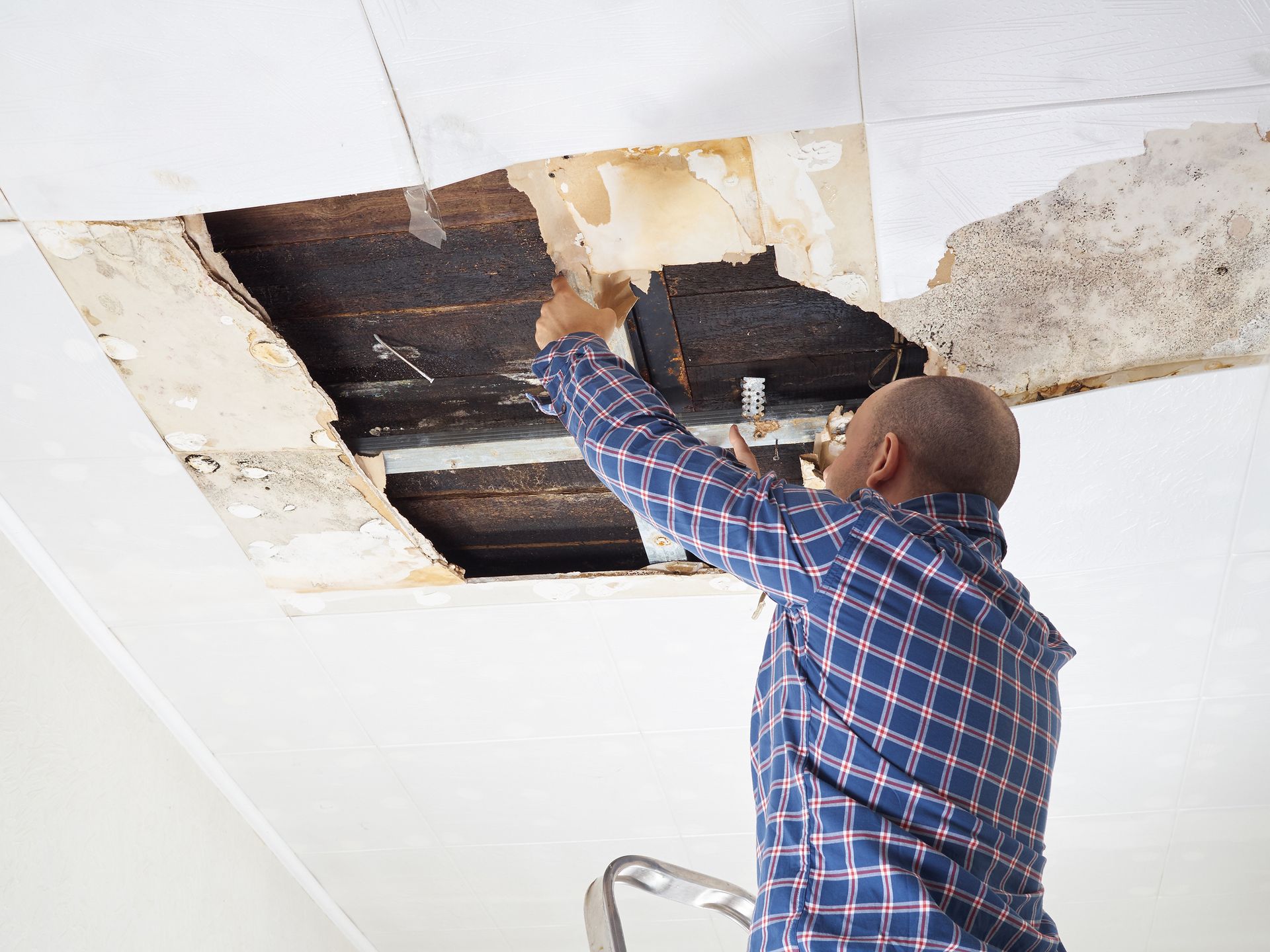 Man in blue plaid shirt repairs a damaged ceiling, standing on a step ladder.