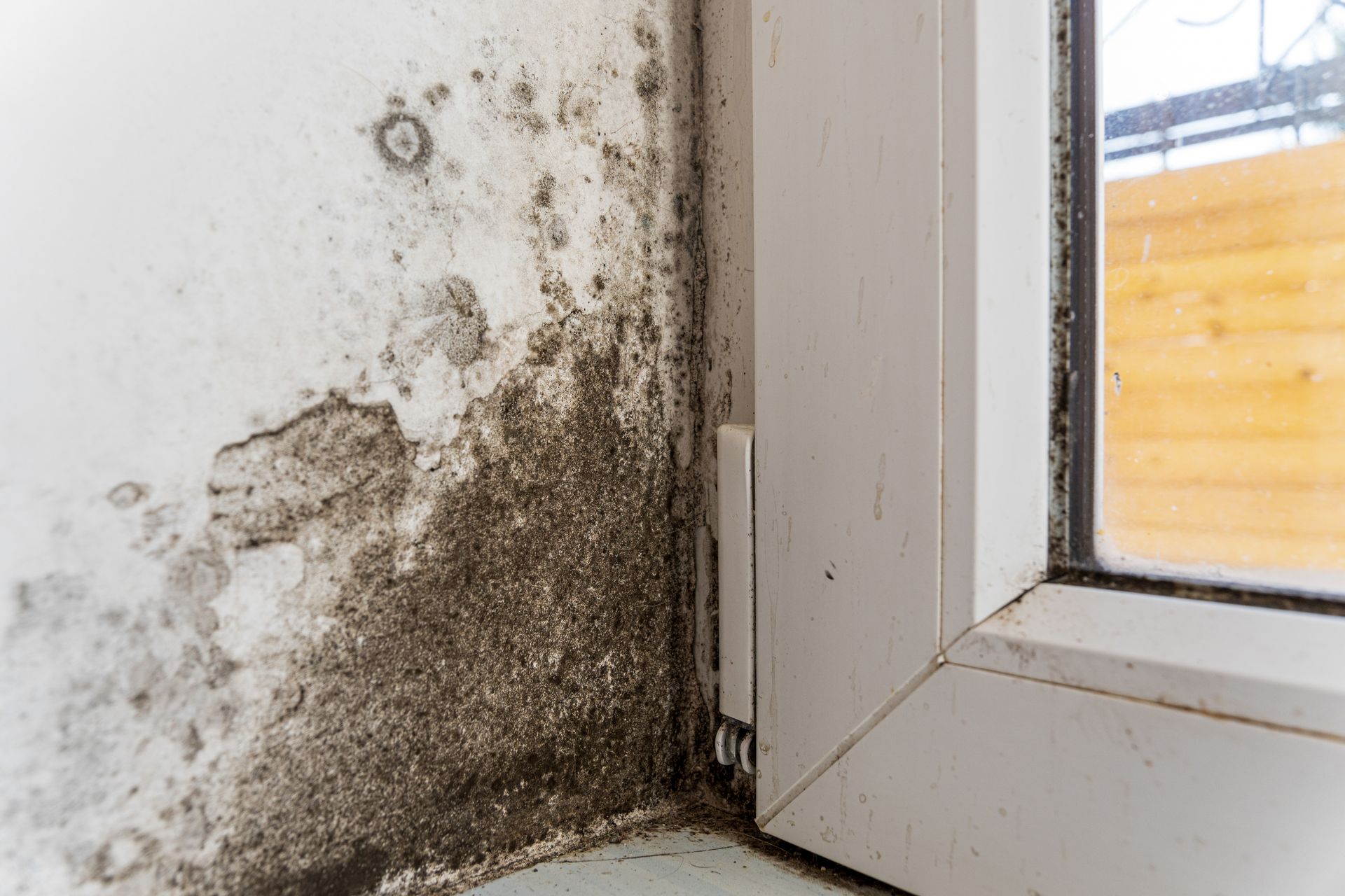 Mold growth on a white wall and window frame corner. Mold growth on a white wall and window frame corner.