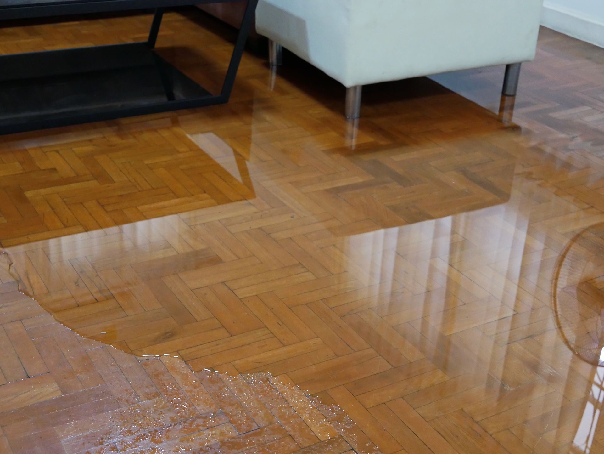 Flooded hardwood floor, water reflecting a couch and table.