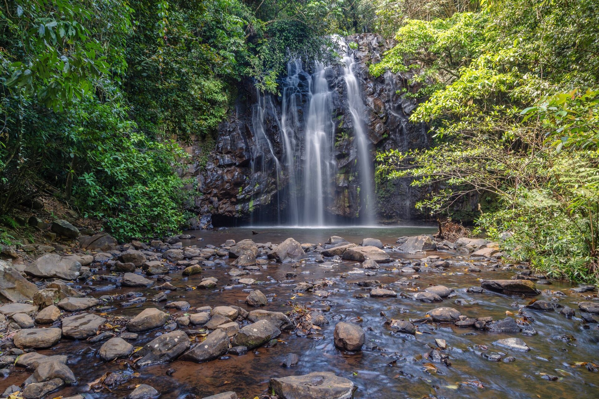 A Waterfall is Surrounded by Trees and Rocks in the Middle of a River — FNQ Hot Water In Atherton, QLD