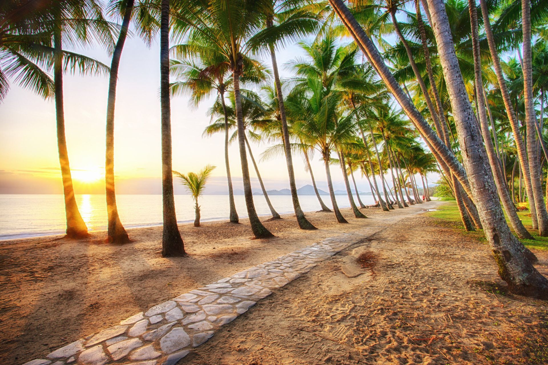A Path Leading to the Ocean Surrounded by Palm Trees — FNQ Hot Water In Cairns, QLD