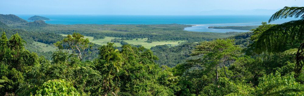 A View of a Lush Green Forest With a Body of Water in the Background — FNQ Hot Water In Port Douglas, QLD