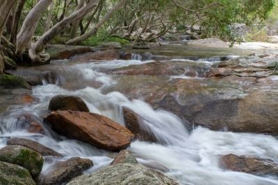 A River Flowing Through a Forest Surrounded by Rocks and Trees — FNQ Hot Water In Mareeba, QLD