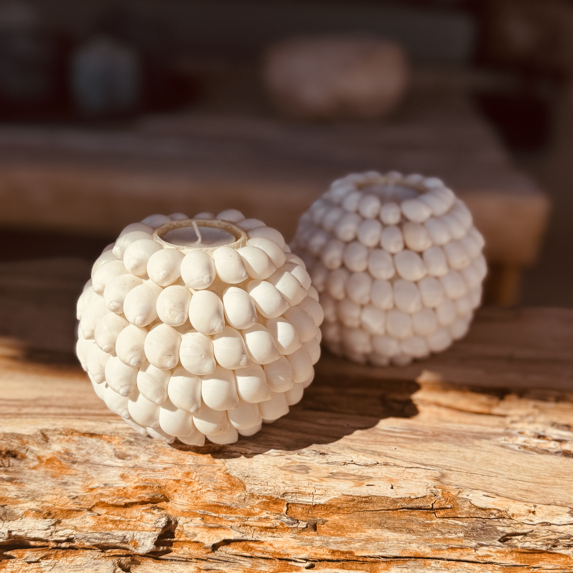 Porte-bougie coquillages