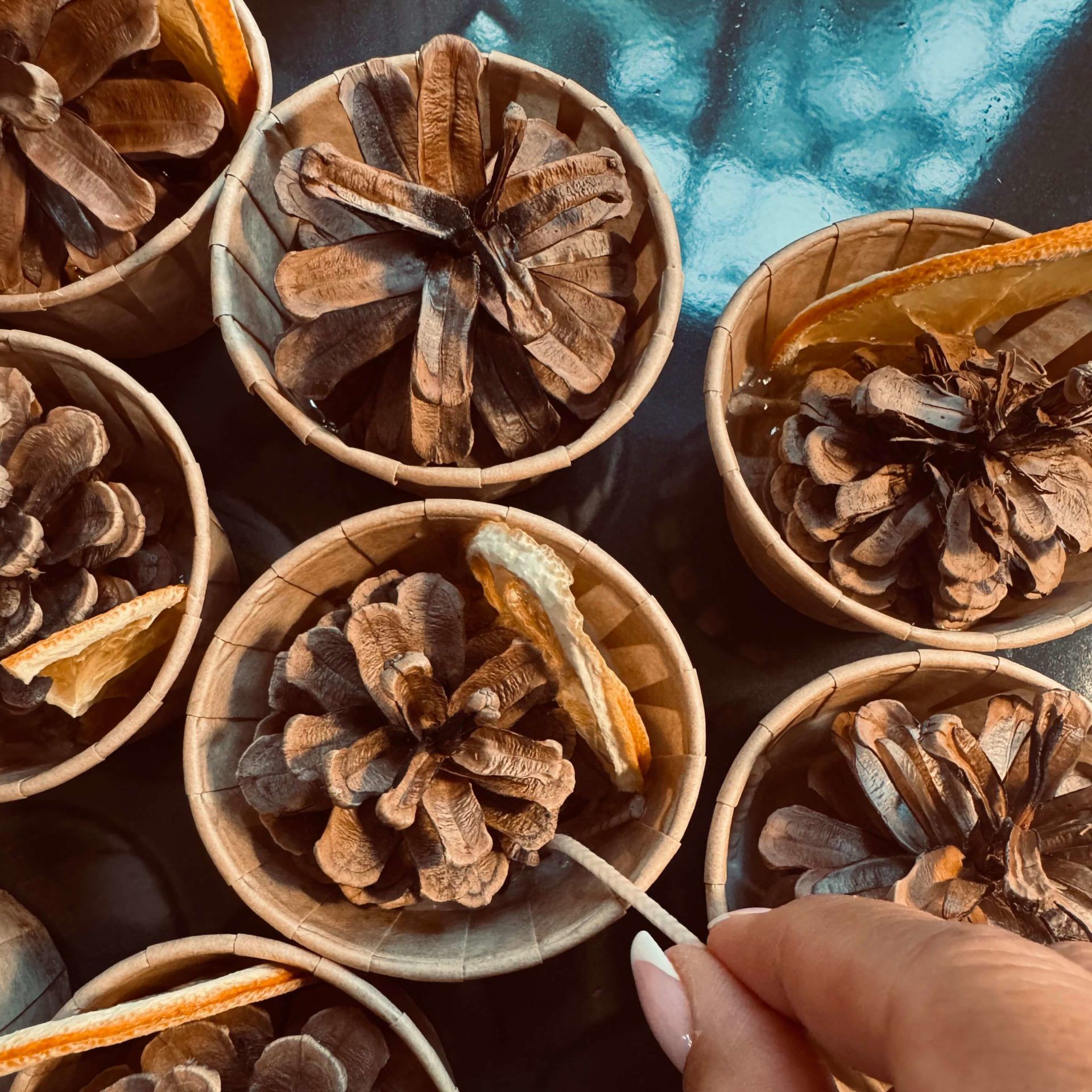 Pommes de pin dans de petits gobelets en carton, certaines avec des tranches d'orange. Une main tenant un petit bâton.