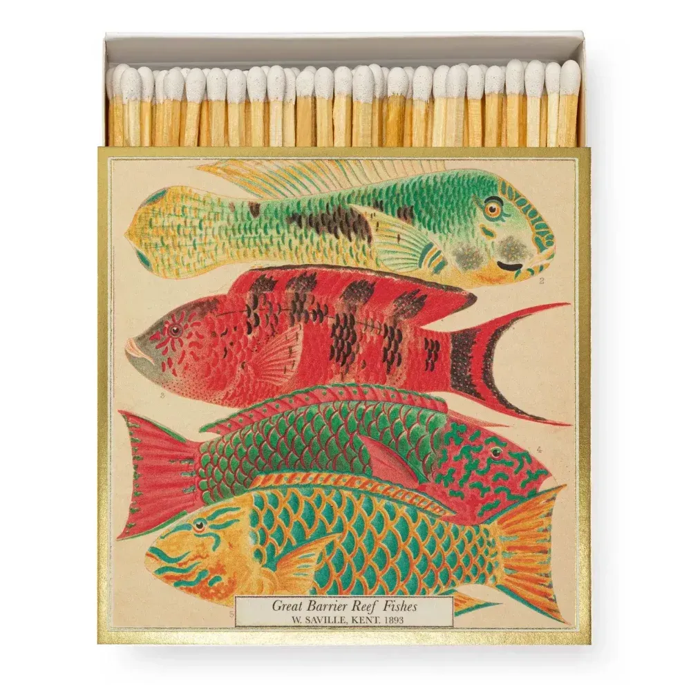 Boîte d'allumettes avec illustrations colorées de poissons de la Grande Barrière de corail. Bordure dorée, côté marron.