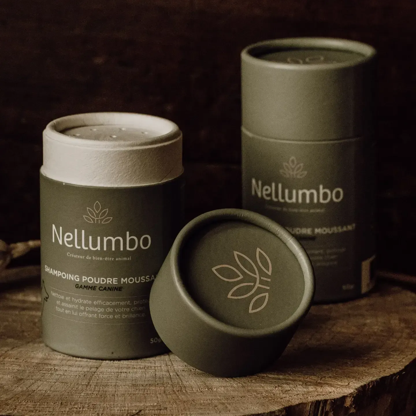 Shampoing poudre pour chiens