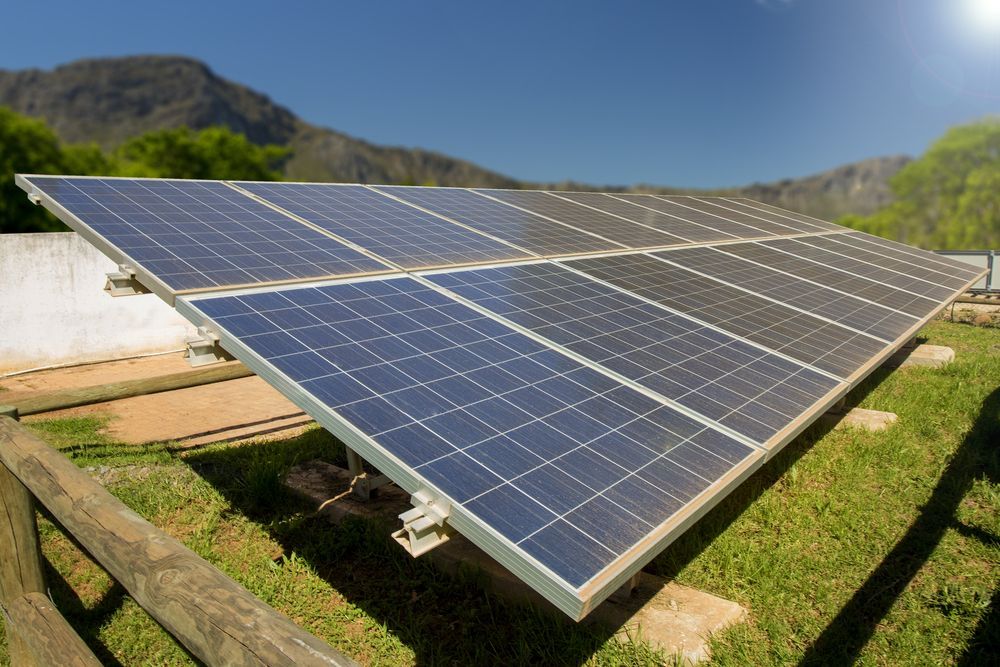 A Row Of Solar Panels Sitting On Top Of A Lush Green Field — Keany's Electrical Service In North Nowra, NSW