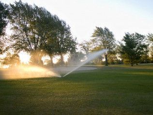 A landscaped garden bed with decorative rocks, small shrubs, and glowing orb lights against a wooden fence at dusk.