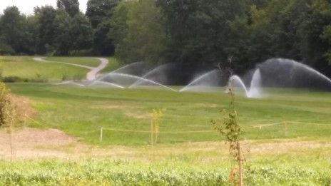 Multiple sprinklers water a green golf course field with a path in the background.