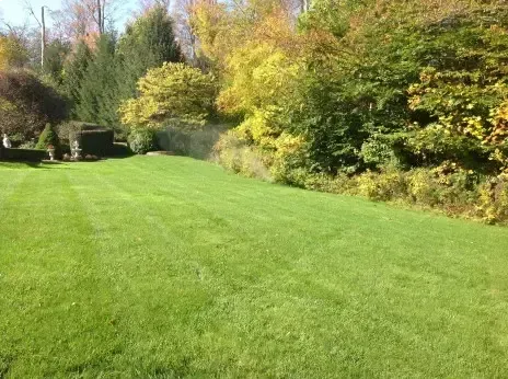 A freshly mowed green lawn stretches toward a treeline with colorful autumn foliage in the background.