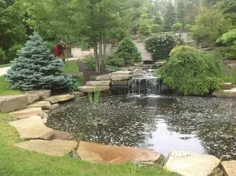 A landscaped garden pond with a small waterfall, surrounded by stone rocks, lush green grass, and various coniferous trees.