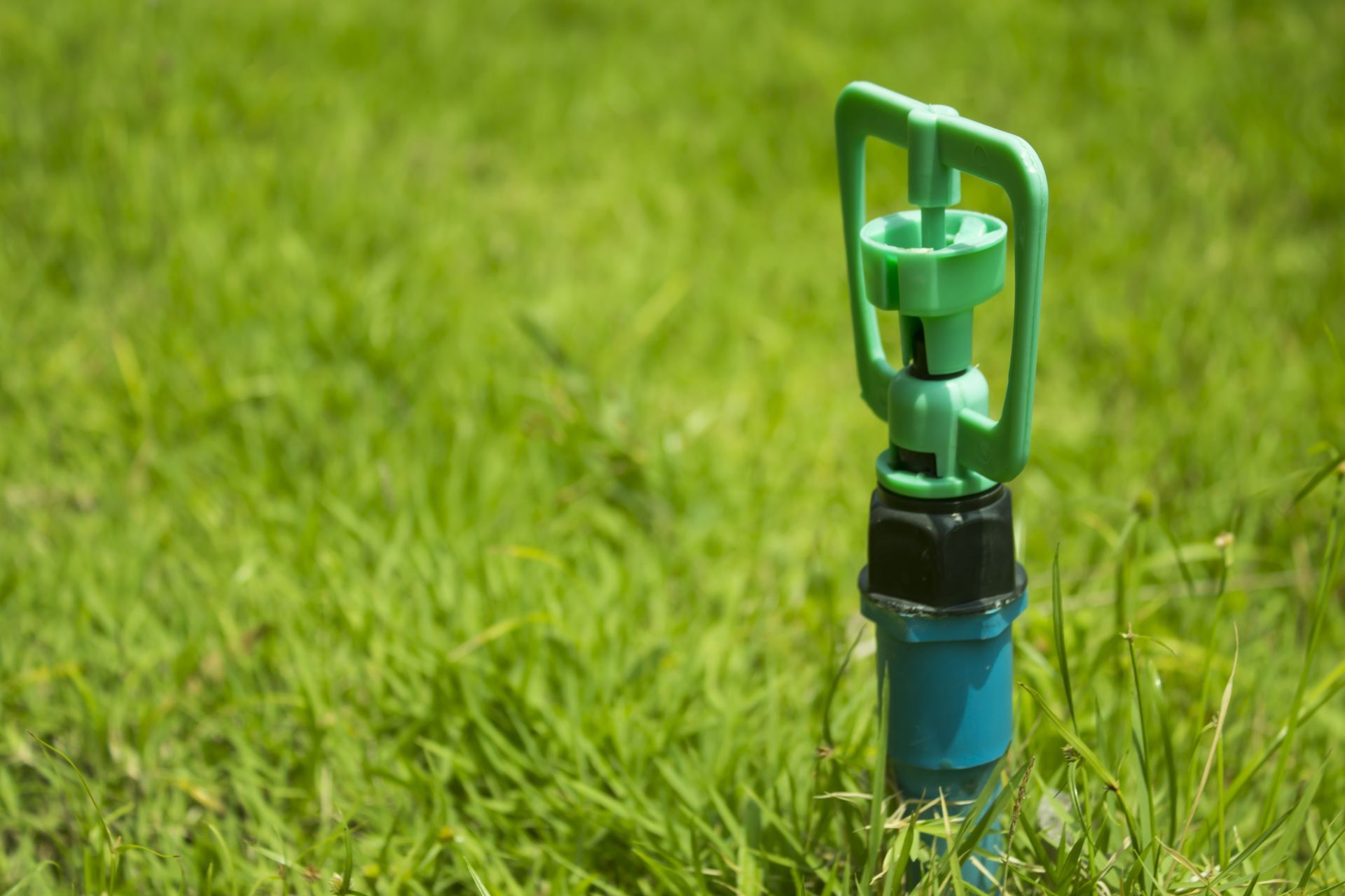 A green plastic sprinkler head standing in lush green grass.