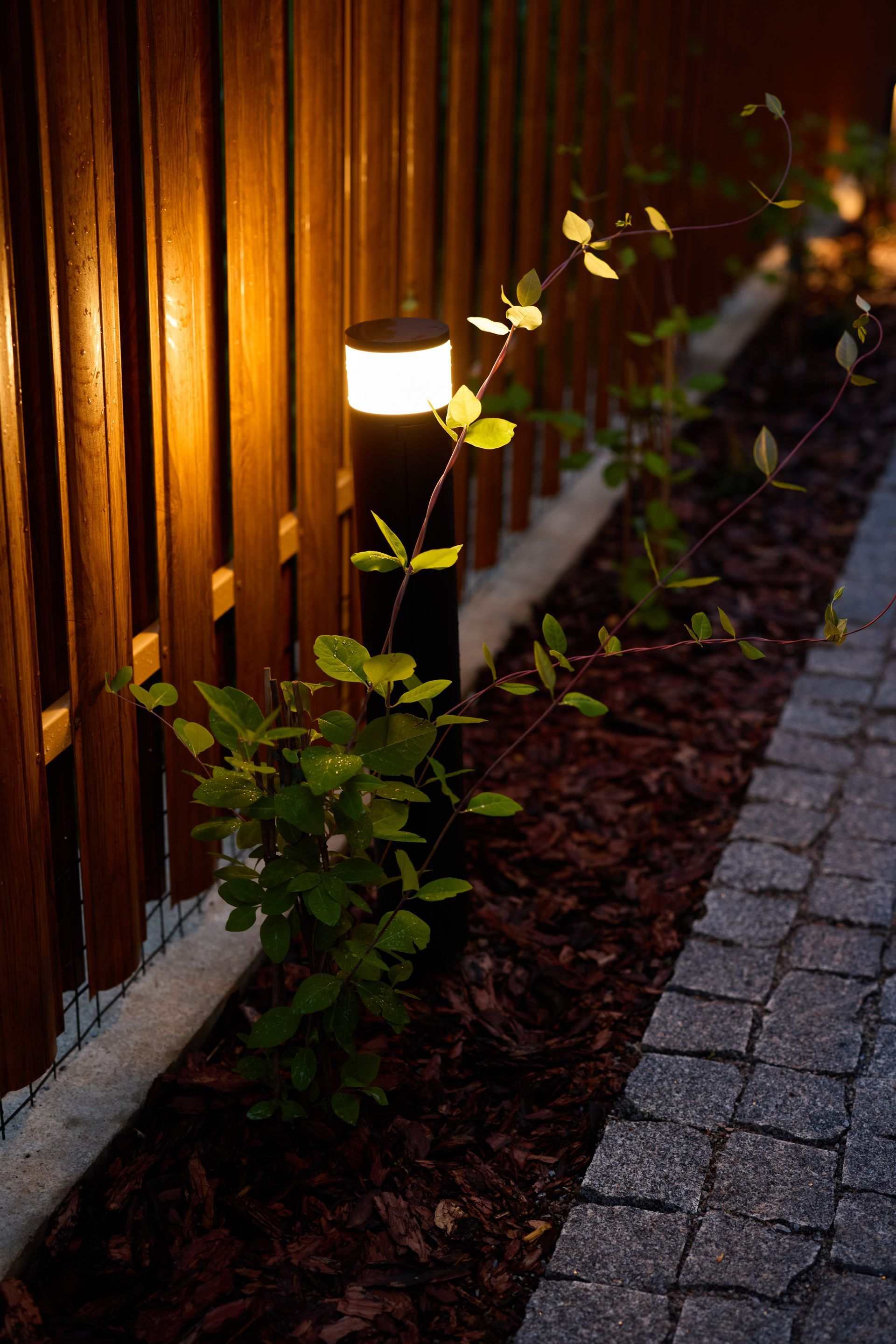 Illuminated modern bollard light next to a small green plant, a wooden fence, and a cobblestone path at twilight.