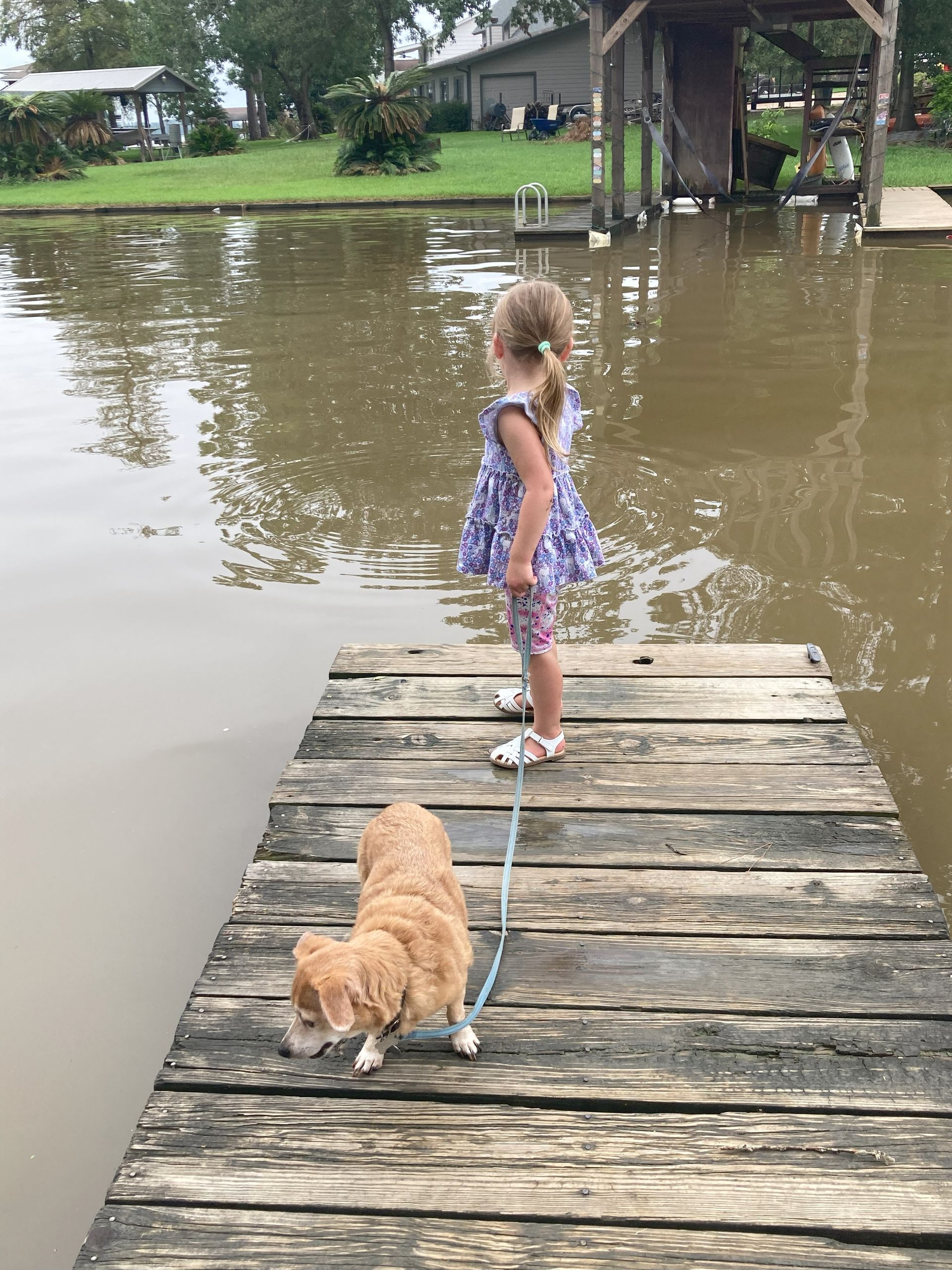 A little girl is standing on a dock with a dog on a leash watching ripples