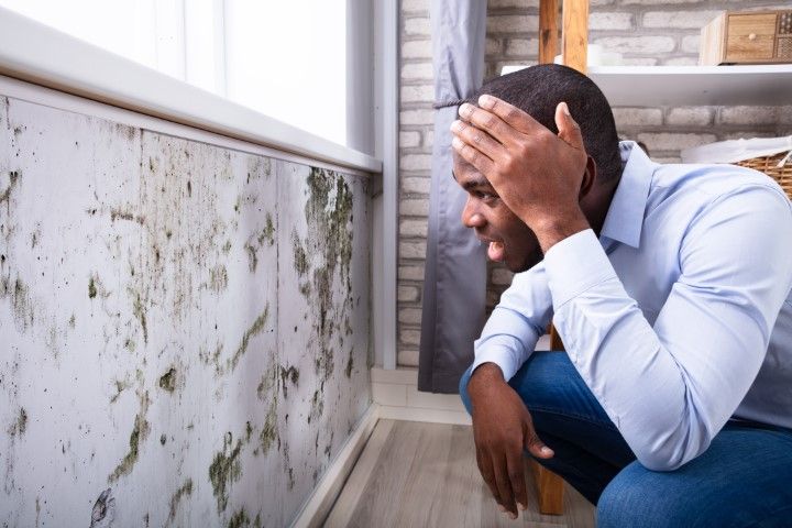 Man looking at a mold-infested wall in a room, concerned expression.