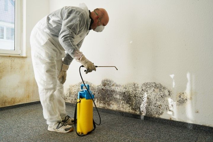 Person in protective suit spraying mold on a wall in a room.