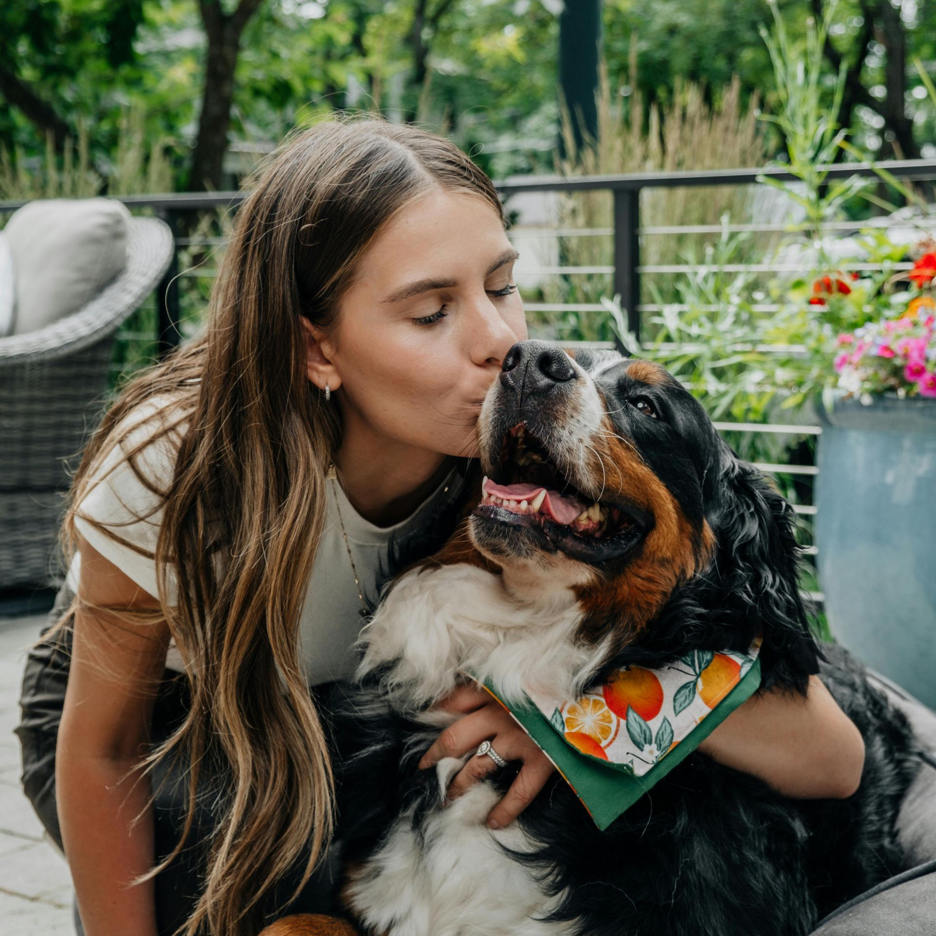 Woman kissing a Bernese Mountain Dog outdoors. The dog has an orange and green bandana.