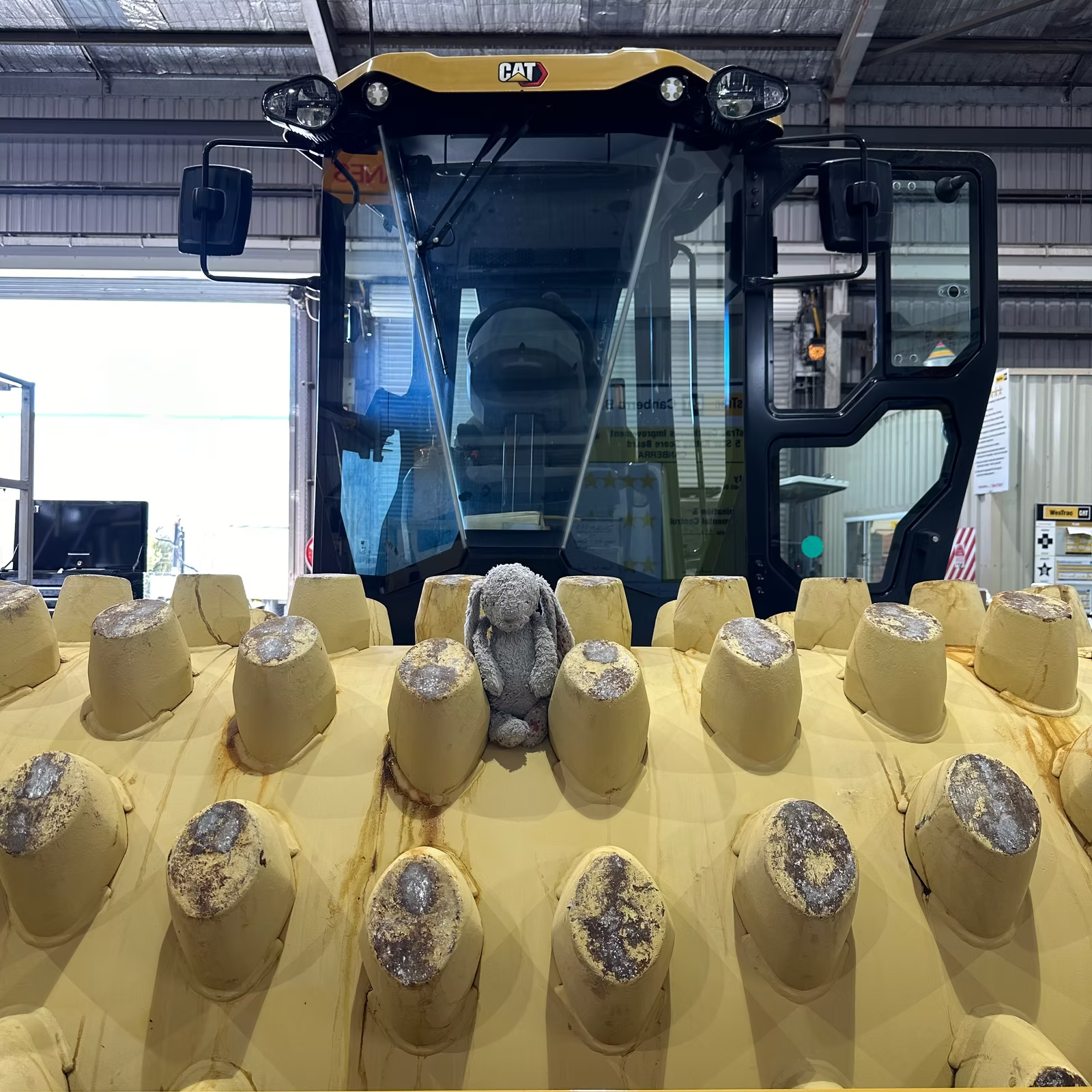 A Stuffed Animal is Sitting on the Back of a Bulldozer — Diamond Tints In Phillip, ACT