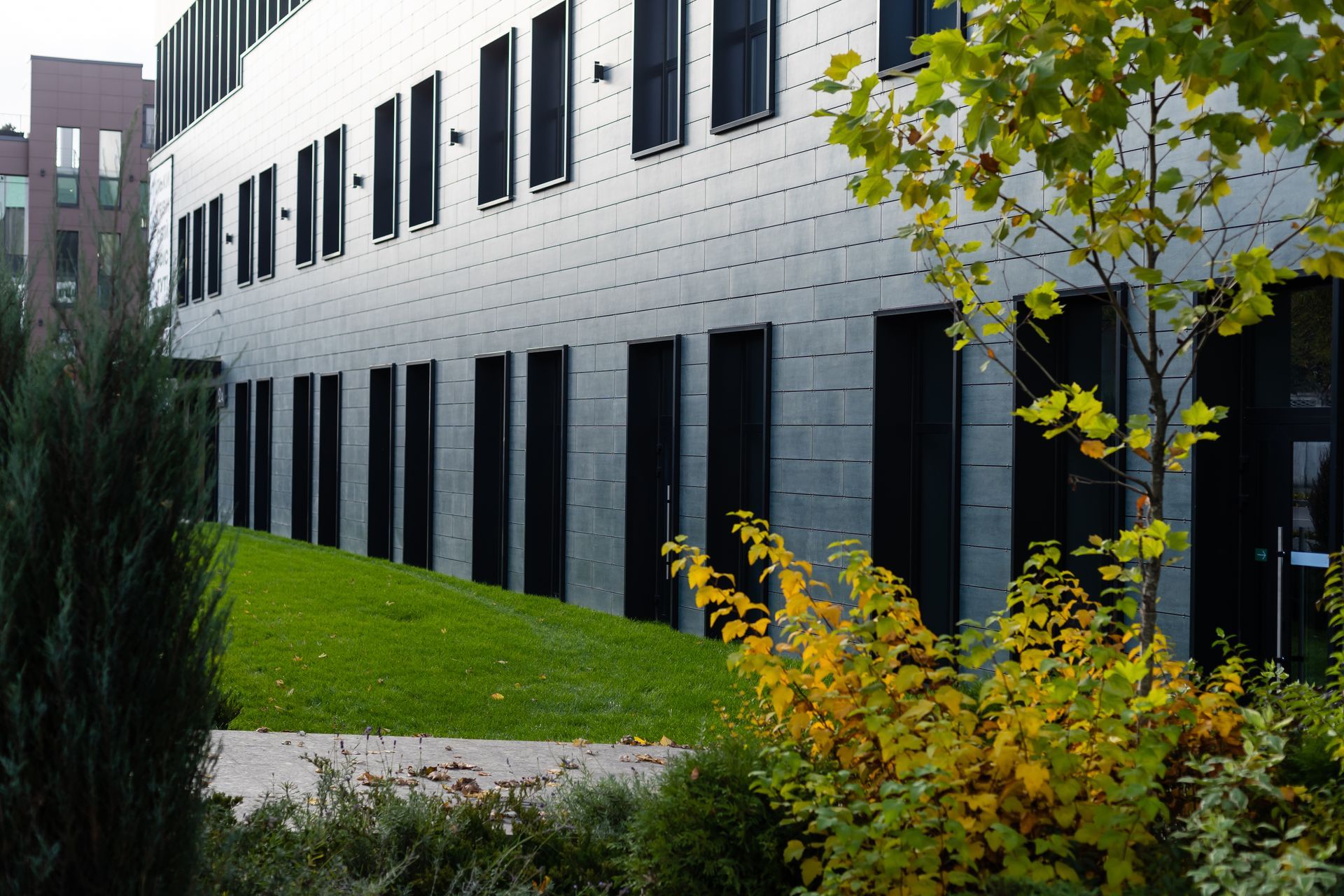 A building with grey walls and lots of tinted windows — Diamond Tints In Tuggeranong, ACT
