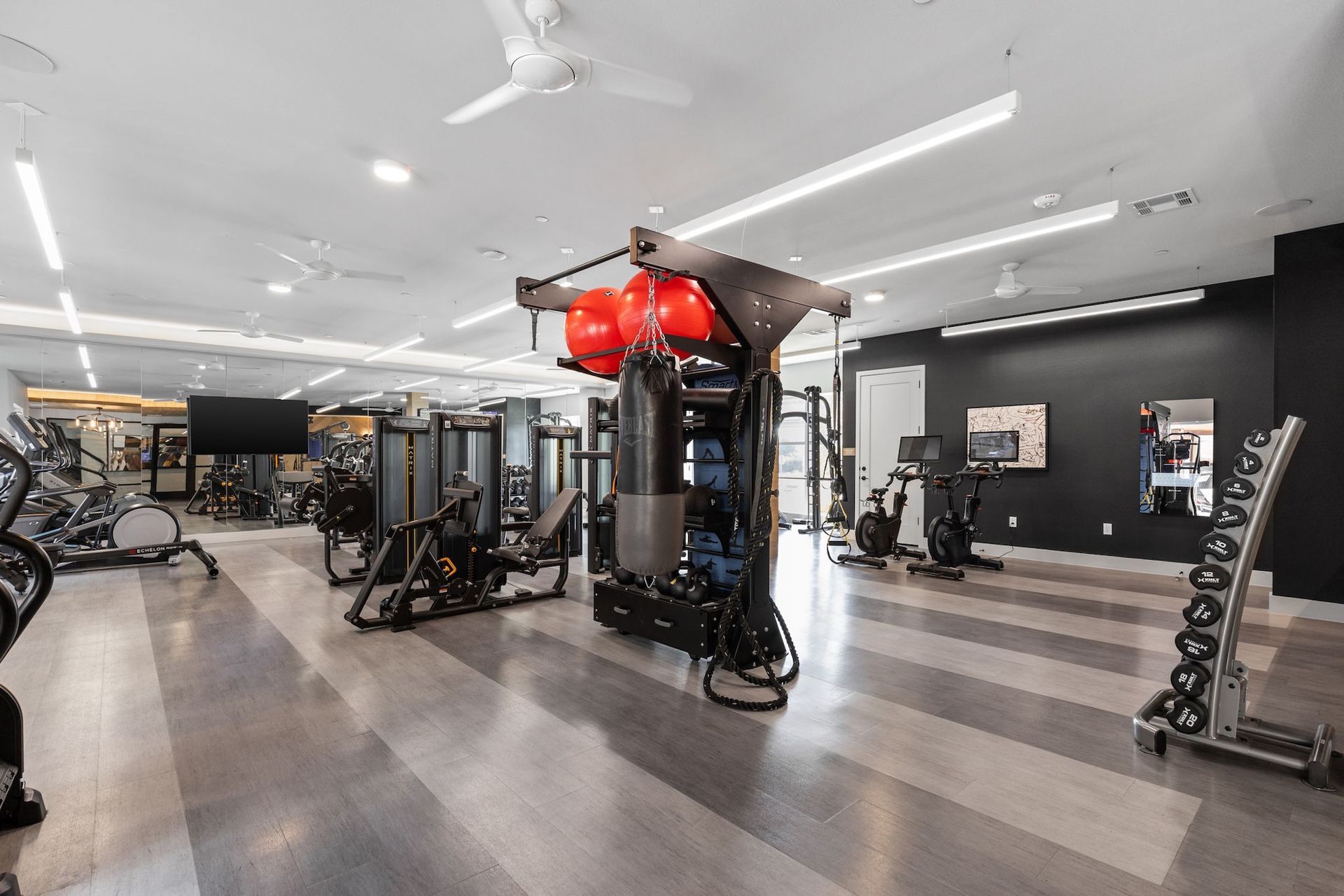 Modern gym interior featuring cardio machines, a boxing station with a heavy bag, and a vertical dumbbell rack.