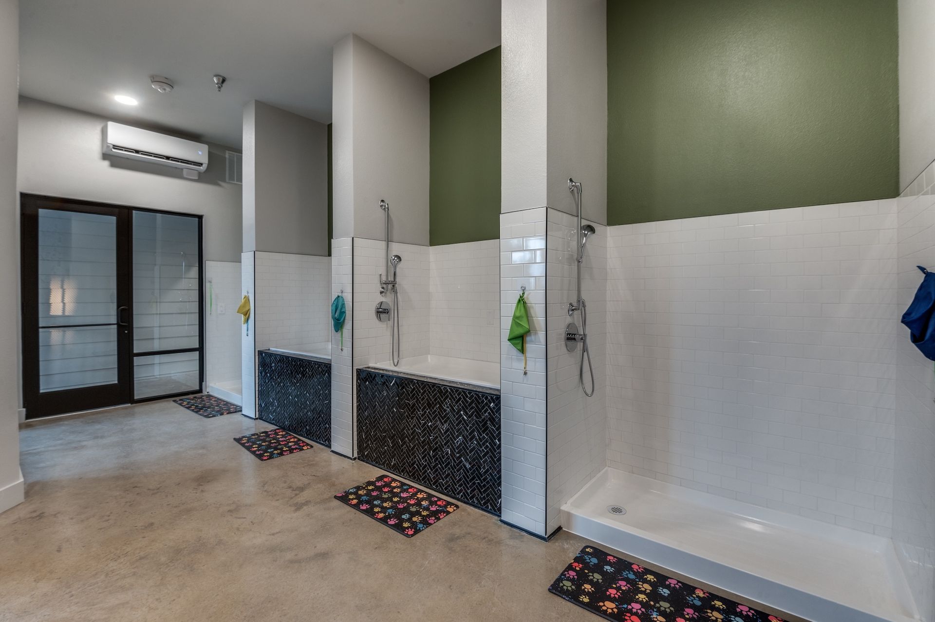 Dog washroom with three shower stalls, white tile, black accent, green walls, concrete floor.