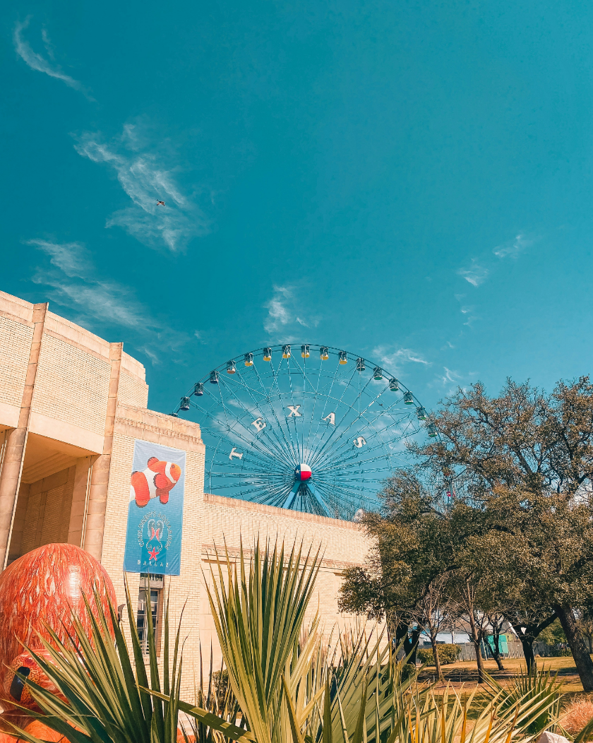 Ferris wheel against a bright blue sky, viewed from behind green foliage and a beige building.