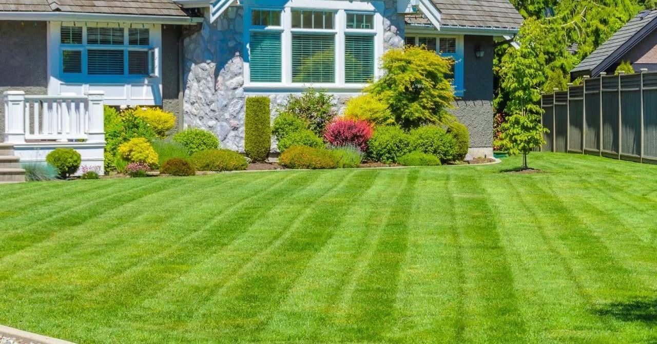 Lawn in front of a house, with green grass striped in alternating directions. Lush landscaping and flowers in front.
