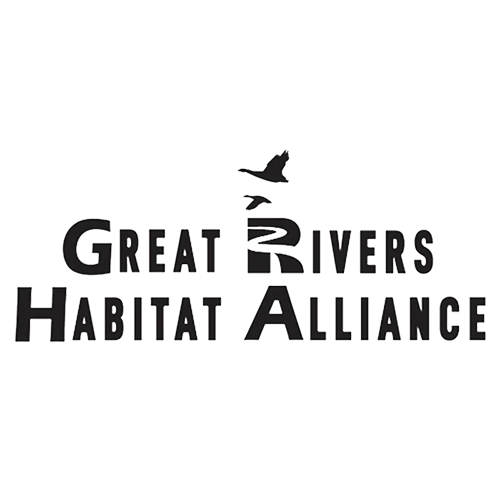 Logo for Copeland Cosmetic Surgery: text in dark brown, and a curved line graphic.