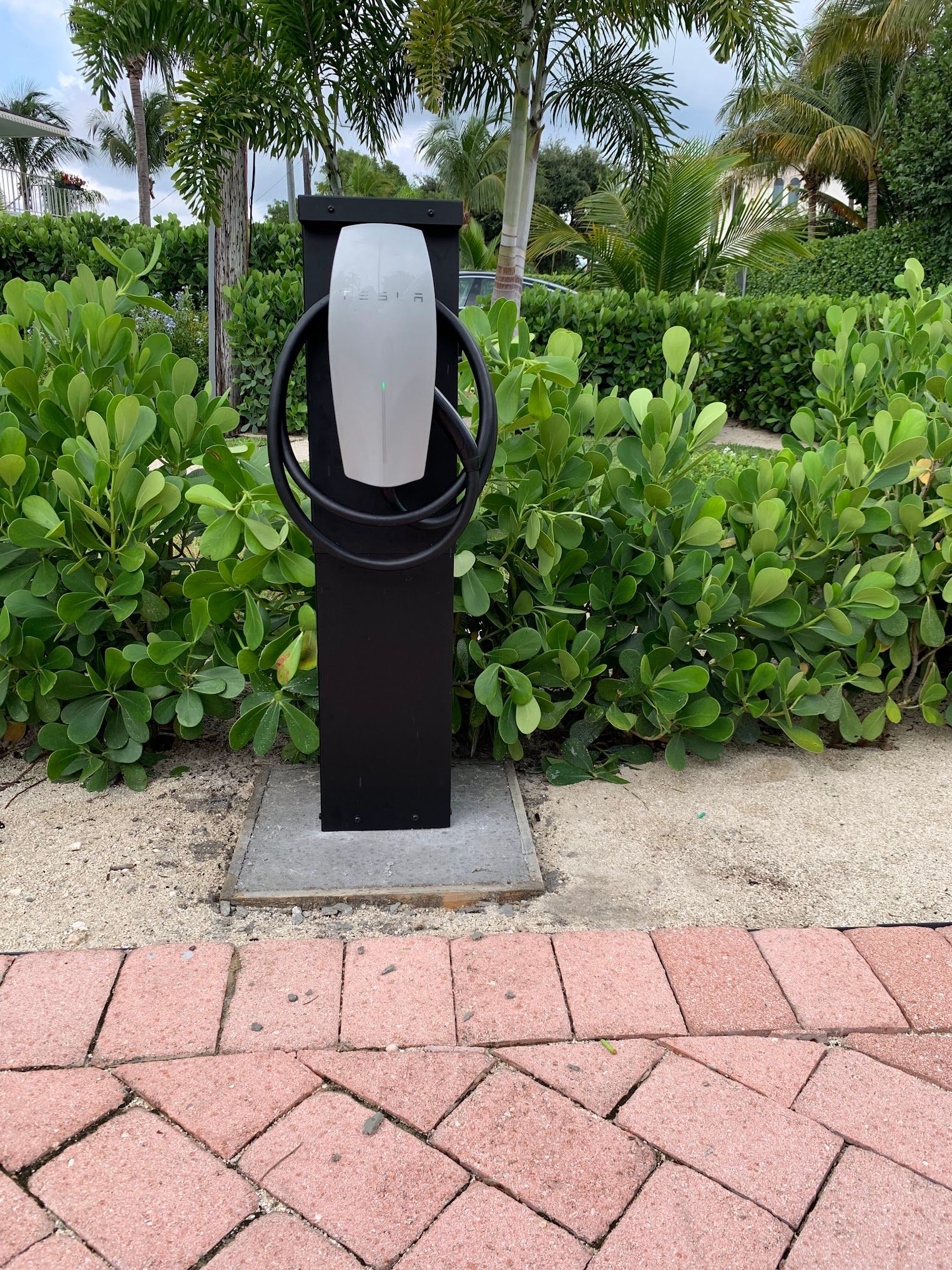 A tesla charging station is sitting on a brick sidewalk next to a bush.